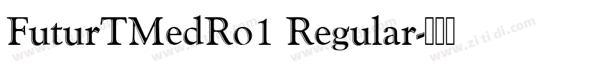 FuturTMedRo1 Regular字体转换 FuturTMedRo1 Regular字体转换